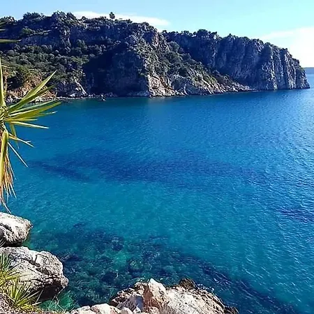 Wiola Διαμέρισμα Τολό